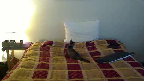 Snapshot of hammerthatthang73 chatting on 10-16-25, 06:53 hammerthatthang73 online show from 10-16-25, 06:53