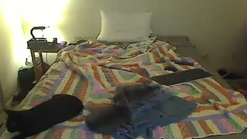 Snapshot of hammerthatthang73 chatting on 10-18-25, 07:20 hammerthatthang73 online show from 10-18-25, 07:20