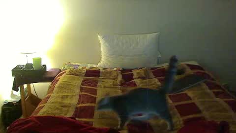 Snapshot of hammerthatthang73 chatting on 11-03-25, 01:29 hammerthatthang73 online show from 11-03-25, 01:29