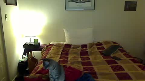 Snapshot of hammerthatthang73 chatting on 11-04-25, 08:57 hammerthatthang73 online show from 11-04-25, 08:57