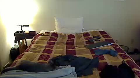 Snapshot of hammerthatthang73 chatting on 11-06-25, 06:42 hammerthatthang73 online show from 11-06-25, 06:42