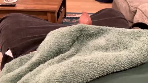 handhugger online show from 12-27-24, 08:28