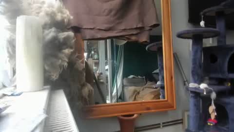 handncocknocum online show from 12-09-24, 08:44