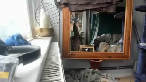 handncocknocum online show from 12-17-24, 11:17