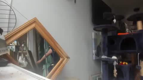 handncocknocum online show from 02-08-25, 09:24