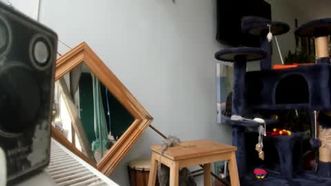 handncocknocum online show from 02-25-25, 10:47