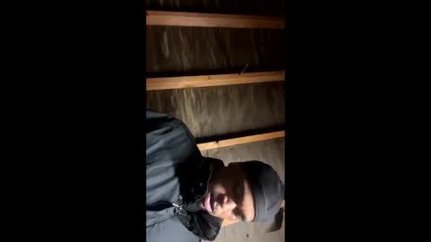 Snapshot of handsomeda1 chatting on 01-19-25, 06:31 handsomeda1 online show from 01-19-25, 06:31