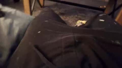 handylong88 online show from 11-19-25, 05:51