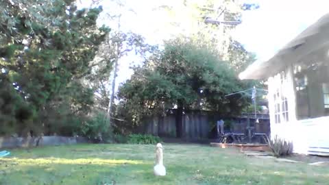 HandySmurf online show from 12-04-24, 11:24