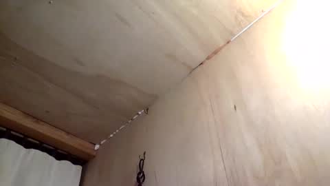 handywoody online show from 02-01-26, 11:36