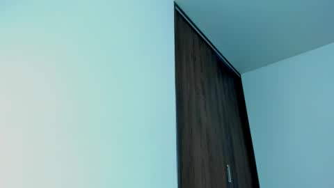 Snapshot of hannadowling chatting on 01-25-25, 12:17 Hanna online show from 01-25-25, 12:17