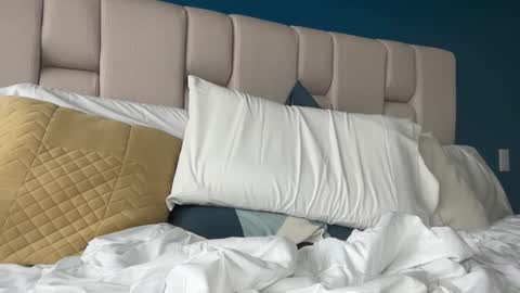 hanzlagerfelt online show from 11-04-25, 08:52