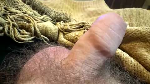 happygerman68 online show from 09-14-25, 11:59