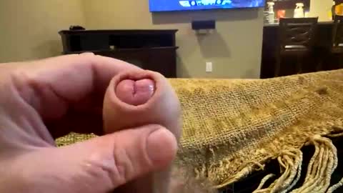 happygerman68 online show from 10-24-25, 12:30