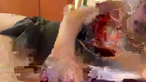 hardcock389397 online show from 02-27-26, 03:39