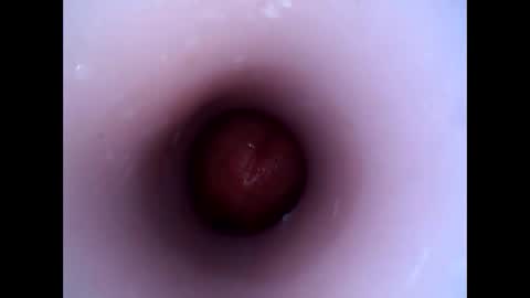 hardhammerboy online show from 12-29-24, 08:26