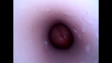 hardhammerboy online show from 12-30-24, 04:08