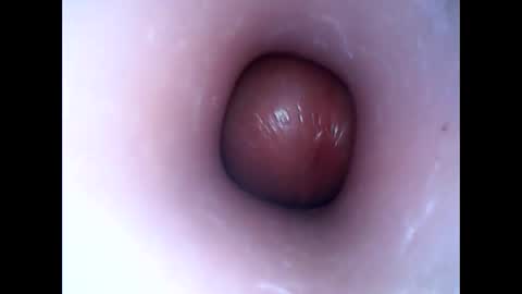 hardhammerboy online show from 01-16-25, 08:03