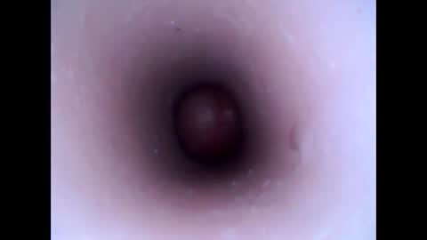 hardhammerboy online show from 01-20-25, 03:28