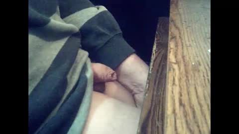 harold4848 online show from 02-01-25, 08:26