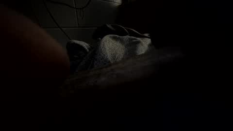 Snapshot of hartwell84 chatting on 01-23-25, 10:22 J Hart online show from 01-23-25, 10:22