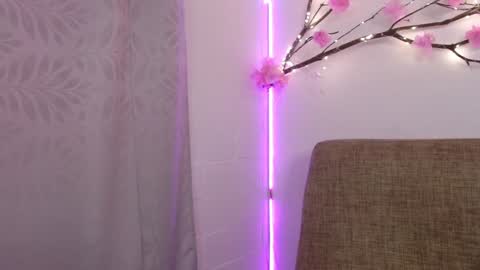     online show from 12-30-24, 08:15