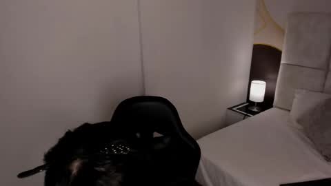 has_gonzalezz online show from 11-26-25, 04:46