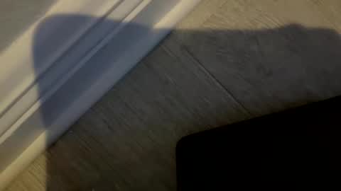 Snapshot of haufd chatting on 01-19-26, 03:54 haufd online show from 01-19-26, 03:54