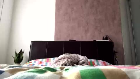 Hayle online show from 10-22-25, 08:36