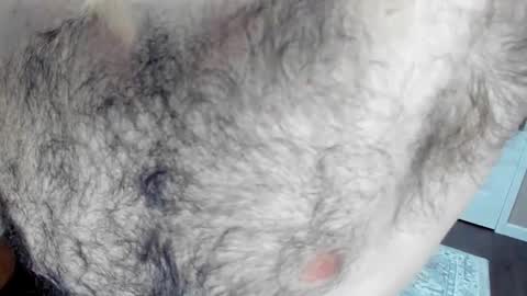 Snapshot of herewego42 chatting on 01-25-25, 02:15 Wade Biggs online show from 01-25-25, 02:15