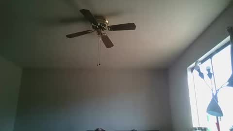 Snapshot of hermannbukowski chatting on 10-20-25, 04:40 hermannbukowski online show from 10-20-25, 04:40