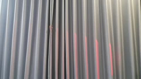 Aran online show from 12-03-25, 08:00