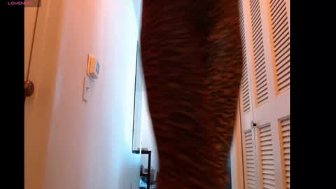 Snapshot of hevin69 chatting on 02-15-26, 07:10 hevin69 online show from 02-15-26, 07:10