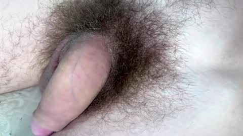 Arnold online show from 01-29-25, 09:17