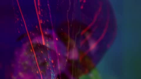 Alina online show from 01-14-26, 06:46