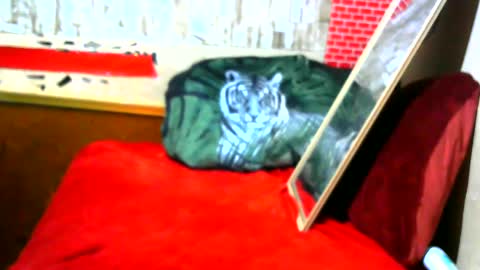 hhhjnf1 online show from 09-17-25, 07:10