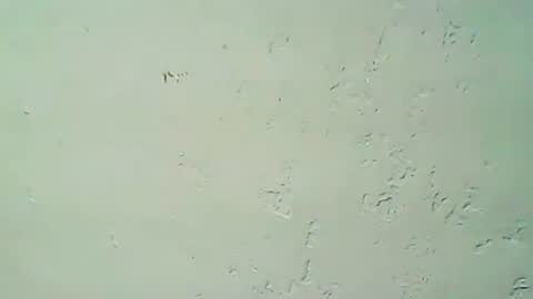 hhhjnf1 online show from 09-20-25, 03:07