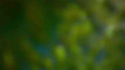 hhhjnf1 online show from 10-06-25, 06:16