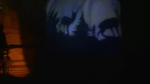 hhhjnf1 online show from 11-20-25, 11:43