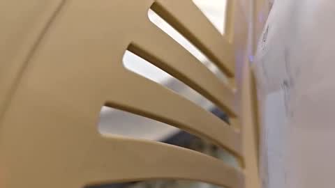 Arab Cock online show from 02-07-26, 07:28