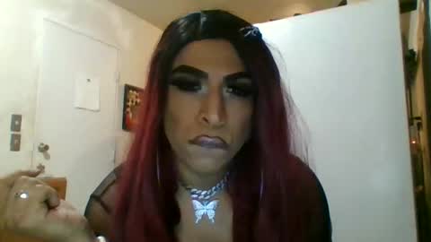 Snapshot of hihheelstranny chatting on 04-12-26, 08:08 hihheelstranny online show from 04-12-26, 08:08