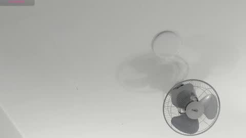 hilary_tailor online show from 01-14-26, 12:44