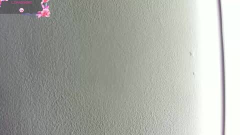 Hilary Thomsom online show from 01-10-26, 11:56