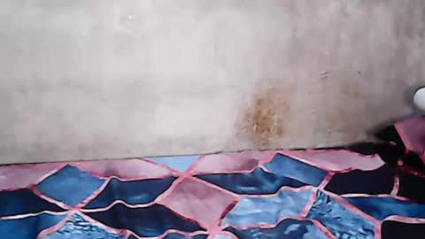 hillaryjade online show from 03-09-25, 03:27