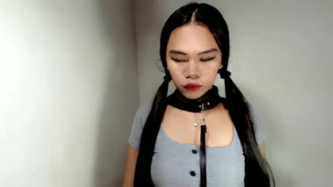 hollyhalo online show from 11-24-25, 06:46