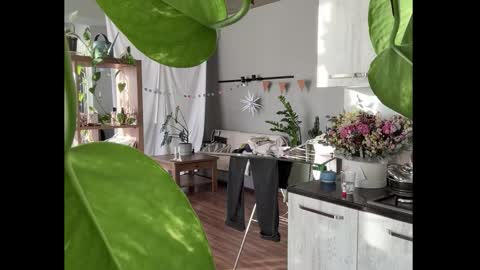 dori not holy get my tg channel with link from description under last photo online show from 01-08-26, 12:40