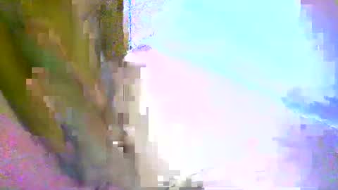 Snapshot of honey1963 chatting on 03-01-26, 09:50 honey1963 online show from 03-01-26, 09:50