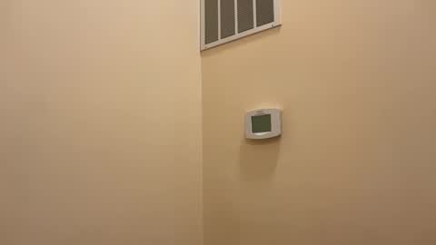 honey_man14 online show from 02-12-26, 04:57