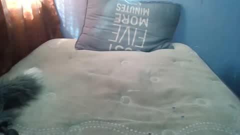 Honeybut72 online show from 09-19-25, 09:59