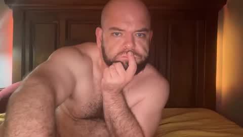 hornazzbear online show from 12-01-25, 08:30